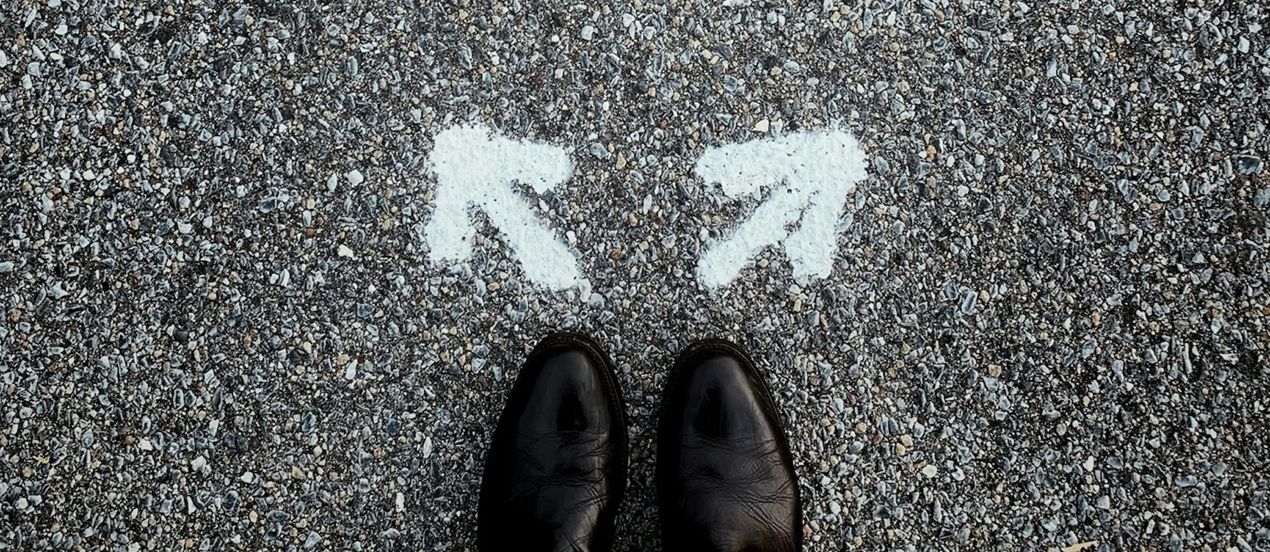 Flutter vs. Native Development: Which is Right for Your Enterprise App?