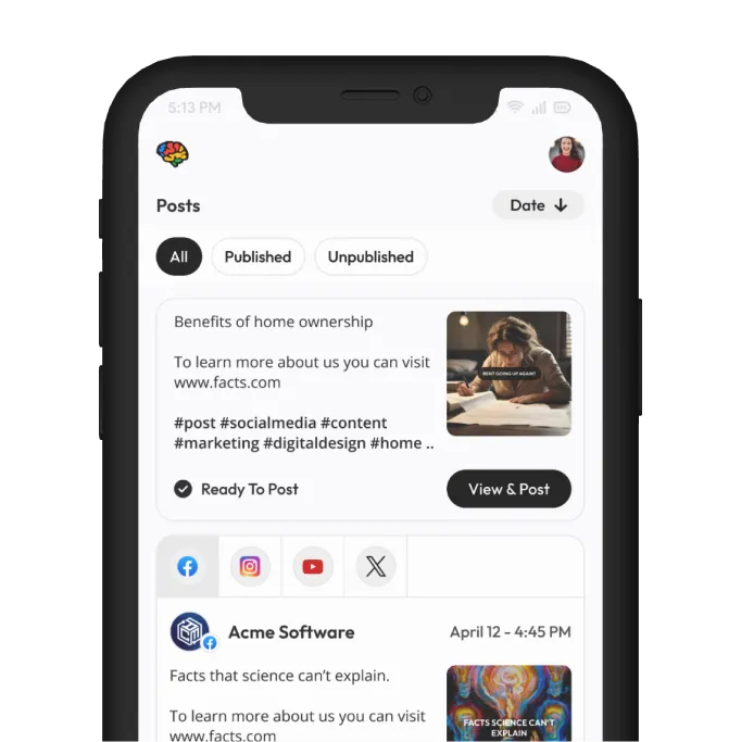 Social media post planner interface