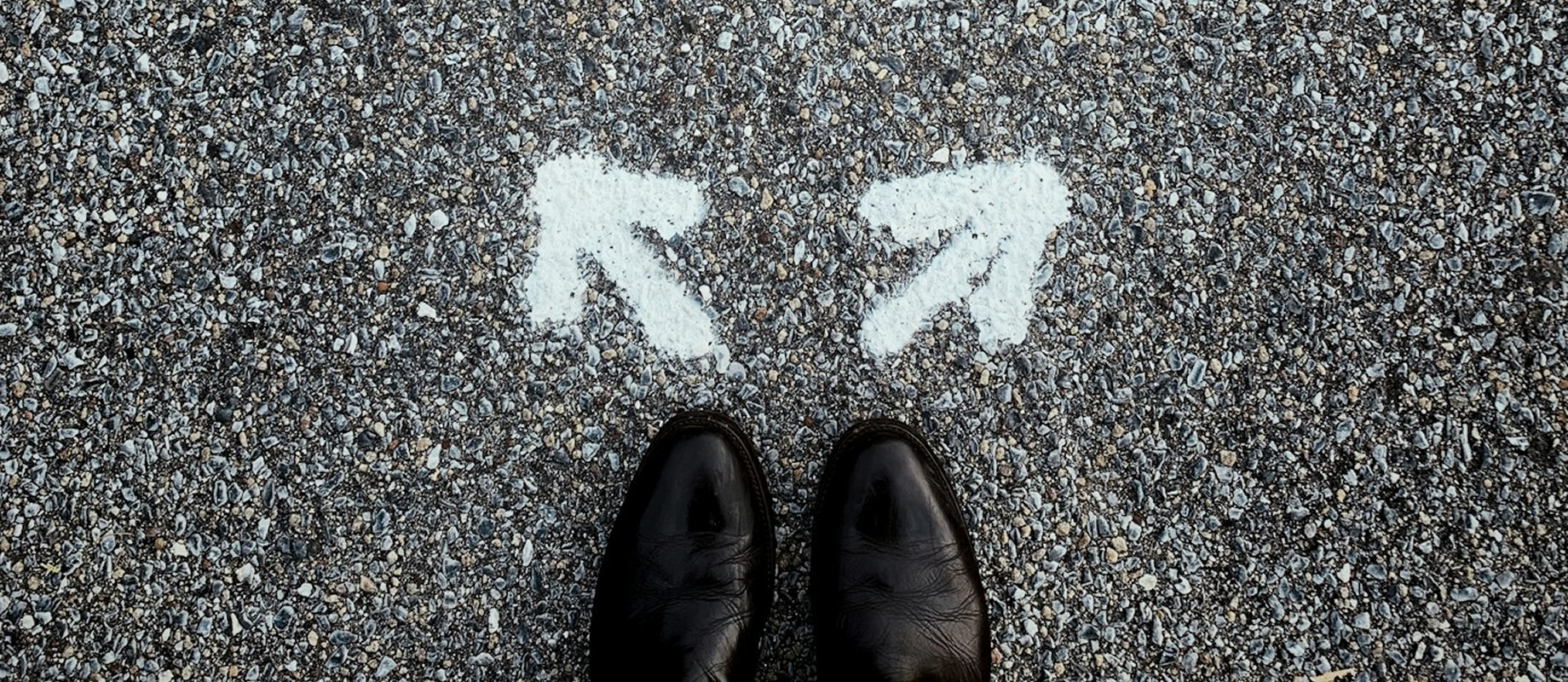 Flutter vs. Native Development: Which is Right for Your Enterprise App?